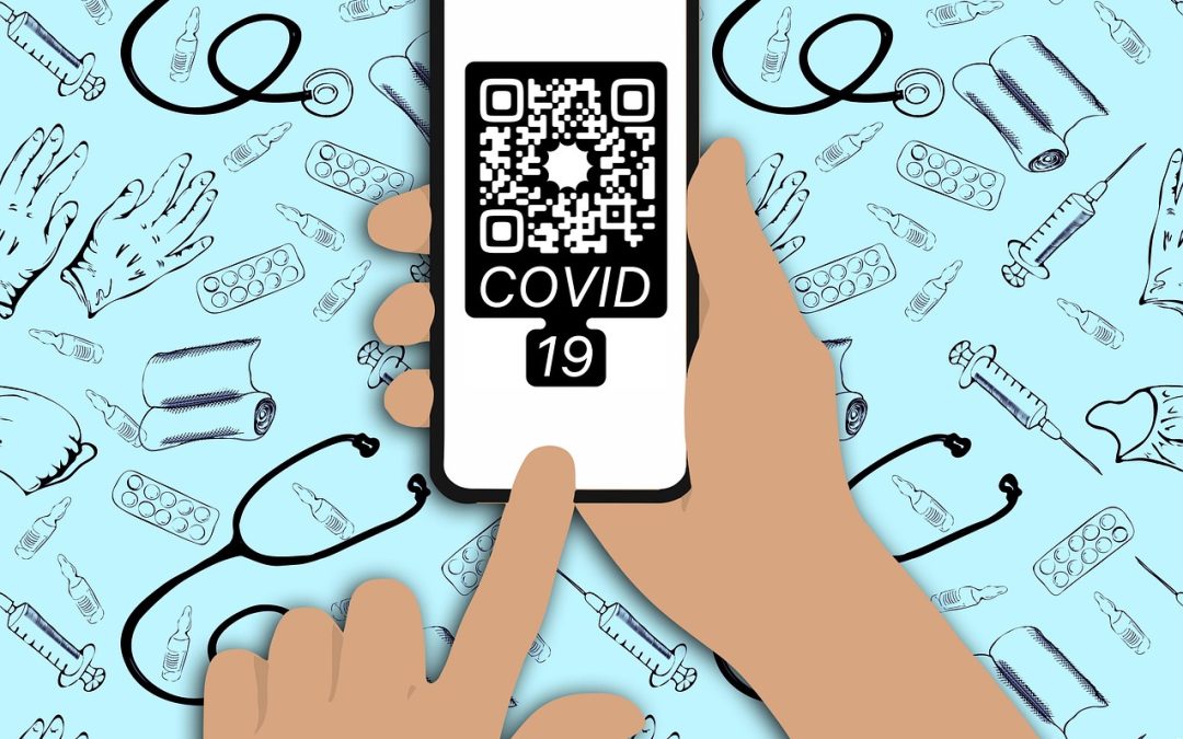 Tutorial Langkah demi Langkah Impor Barang Melalui Bea Cukai